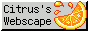 Citrus's Site button